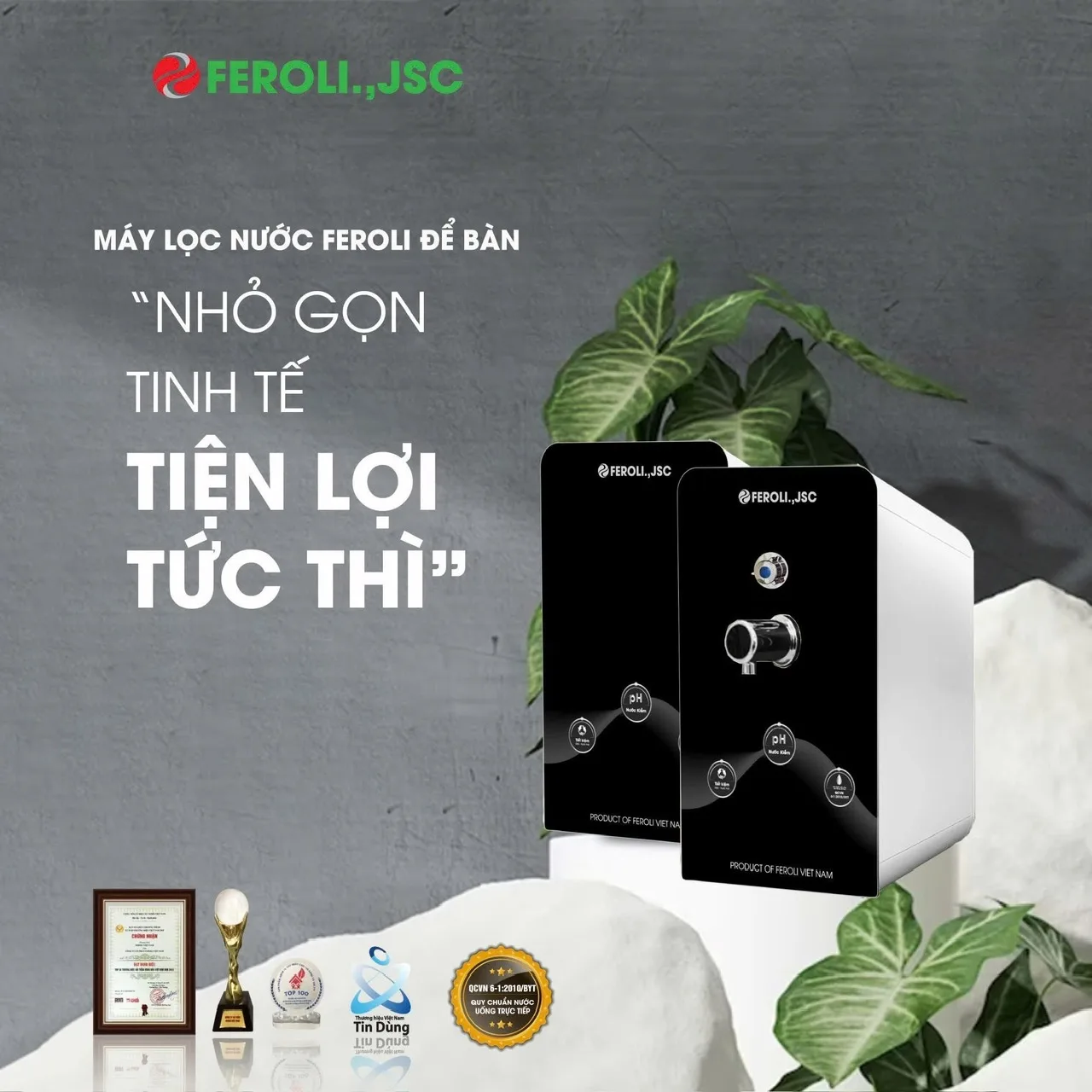 Máy lọc nước RO Feroli.,jsc để bàn - ảnh 4