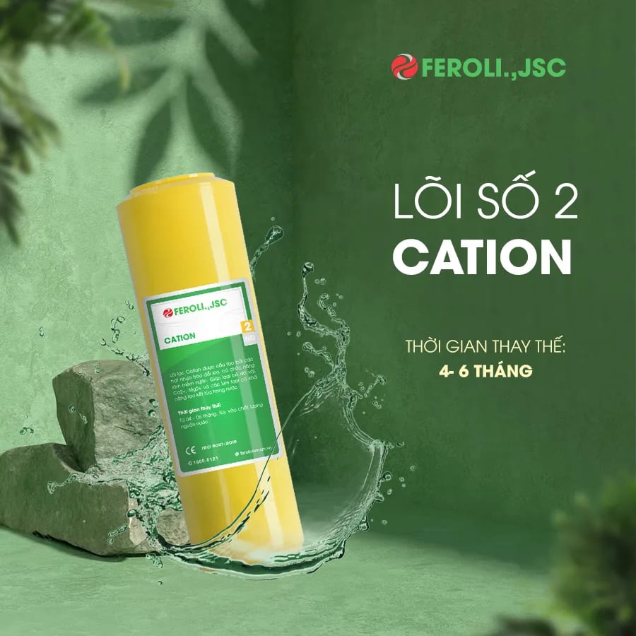 Lõi lọc số 2 Cation