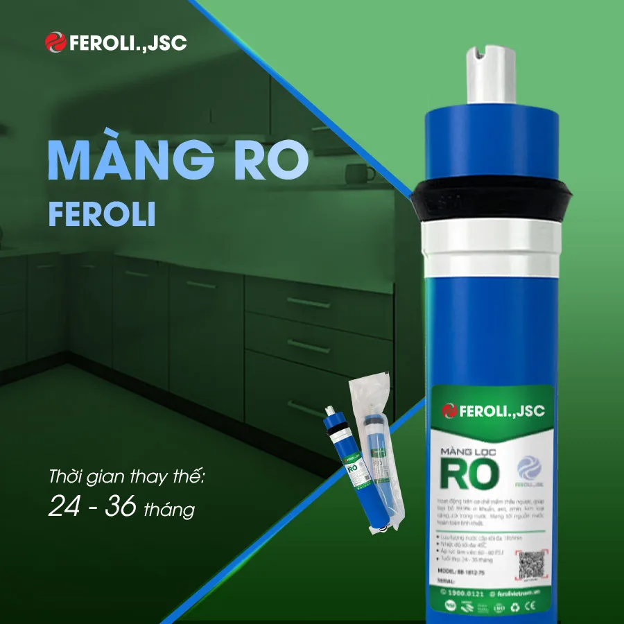 Màng RO Feroli.,JSC